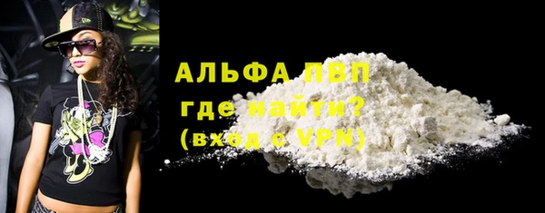 соль ск Надым