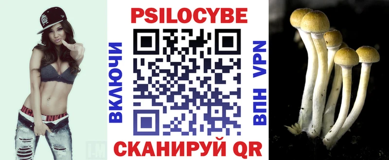 маркетплейс телеграм  Обнинск  Галлюциногенные грибы Psilocybe  магазин   