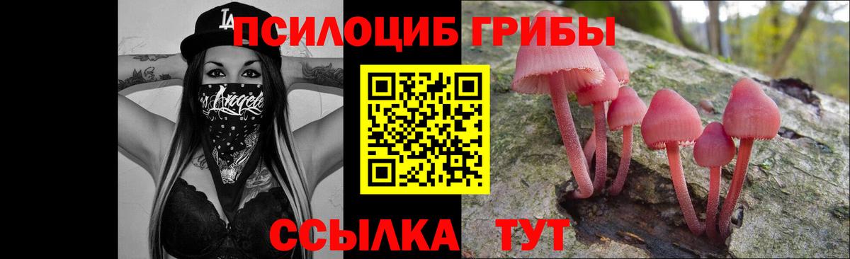 Галлюциногенные грибы мицелий Обнинск