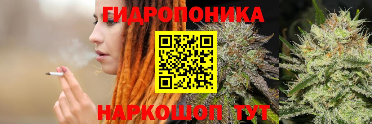 Бошки Шишки семена Обнинск